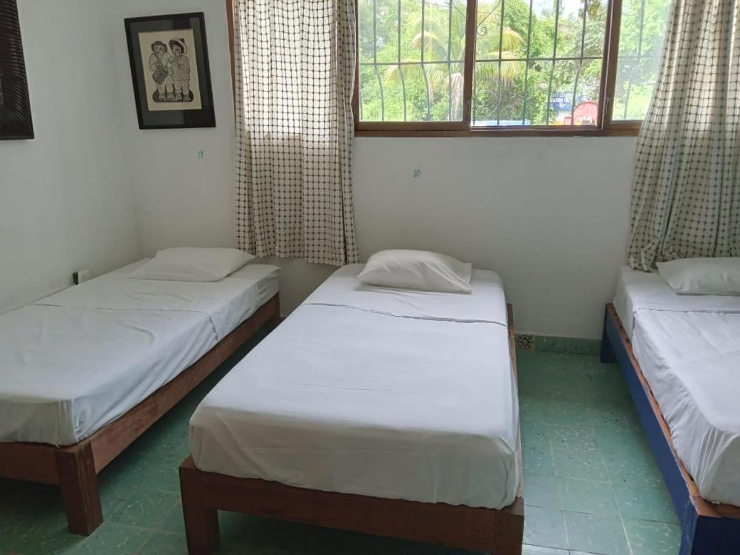 פוארטו אסקונדידו Mayflower Hotel & Hostal מראה חיצוני תמונה